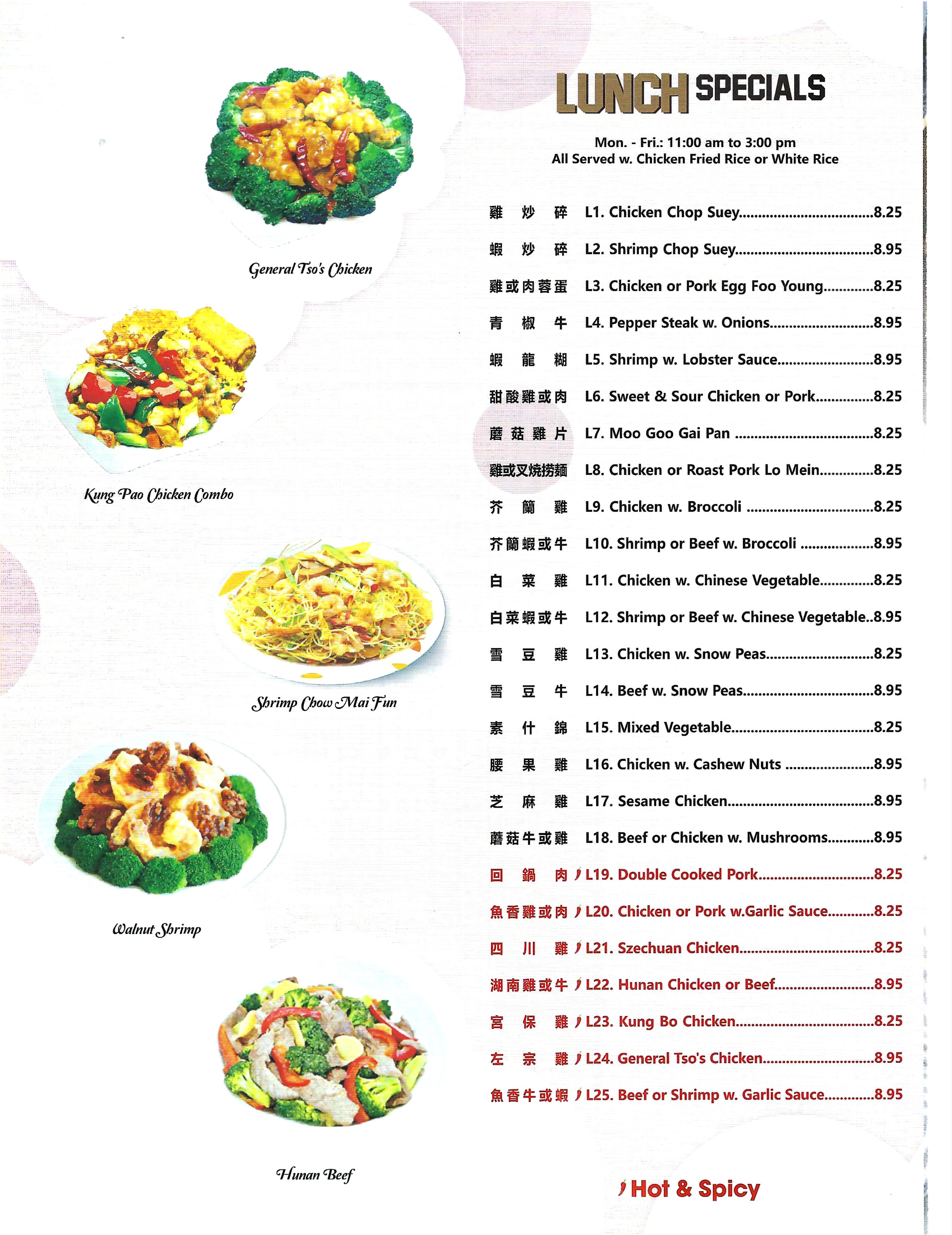 pasta with tomato and chiken source